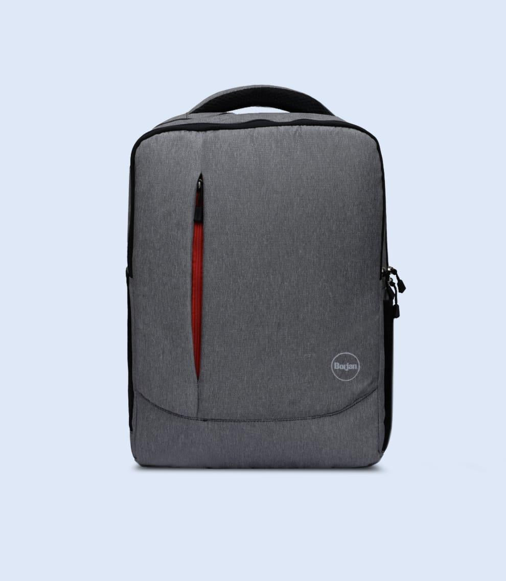 Multipurpose Grey Laptop Bag - 1 Pc for All Your Carrying Needs